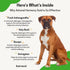 Pet Wellbeing Derma Support Gold for Dogs - Normal Skin Yeast Balance, Occasional Itching, Healthy Odor, Baikal
