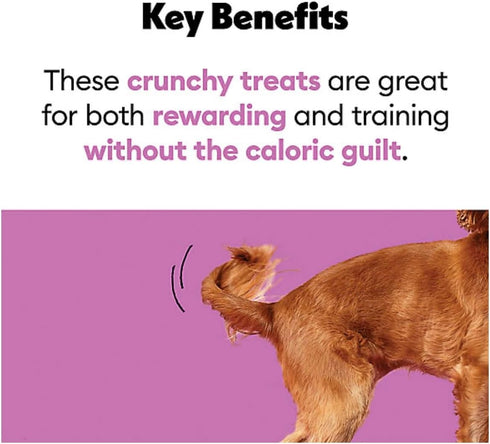 Wiggles & Wags 5 oz, Freeze Dried Beef Liver & Sweet Potato Dog Treats, with DN Essentials Bone Shaped Waste Bag