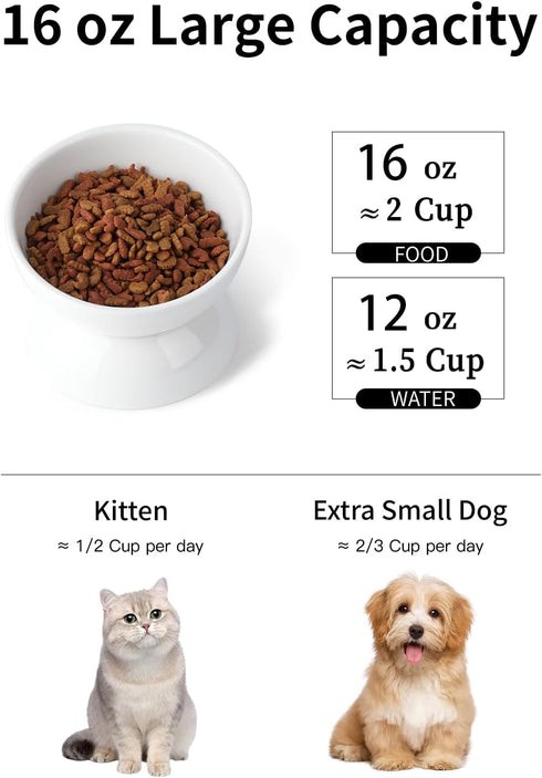 Cat Water Bowl, 16 OZ Ceramic Elevated Cat Dish, 15° Tilted and Raised Pet Food Bowl, Anti Vomiting Protect Pets' Spines and Whisker Fatigue