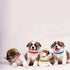 TTSAM 15 Pcs Puppy ID Collars, Double-Sided Soft Adjustable Dog ID Bands in 15 Colors for Puppies, Small Cats, Kittens