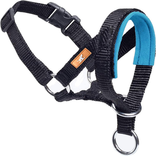 Dog Head Collar, Fabric Padded to Prevent Pulling, Head Leash for Small, Medium, Large Dogs Walking (L, Lake Blue)