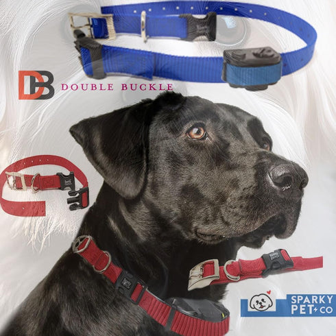 Sparky Pet Co ECollar Replacement Strap, Adjustable Dog Collar, Rugged Nylon, Quick Release Metal Clasp, 3/4" x 24", Red