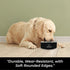 64 oz Insulated Stainless Steel Dog Bowl - Non-Slip, Spill-Proof, BPA-Free with Slow Feeder Insert for Large Dogs -