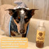 Natural Pet Shampoo No. 40 Premium 6 in 1 Oatmeal Shampoo for Dogs - Moisturize, Deodorize & Soothe Sensitive Skin