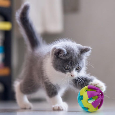 Hypeety Pet Parrot Toy - Colorful Plastic Birds Ball with Bell for Budgie, Cockatoo, Rabbit, Cat (1PC Color Random)