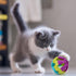 Hypeety Pet Parrot Toy - Colorful Plastic Birds Ball with Bell for Budgie, Cockatoo, Rabbit, Cat (1PC Color Random)