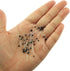 yyangz 1 Pack 50PCS Faux Shrimp Eye Black Crab Eye Shrimp Eye Shrimp Hook Tying Lua Fly Fishing Mock Bait Fake Bait Fly