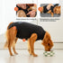 Suitical Recovery Suit for Dogs - Comfortable Post-Surgery Suit with Hold-Up System for Spay, Neuter, Skin Issues -