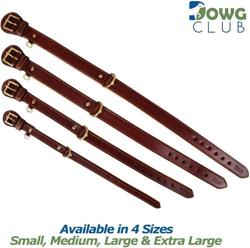 Genuine Leather Dog Collar - Full Grain, Heavy Duty, Comfortable, Padded for Pups, Small, Medium, Large & XL Breeds