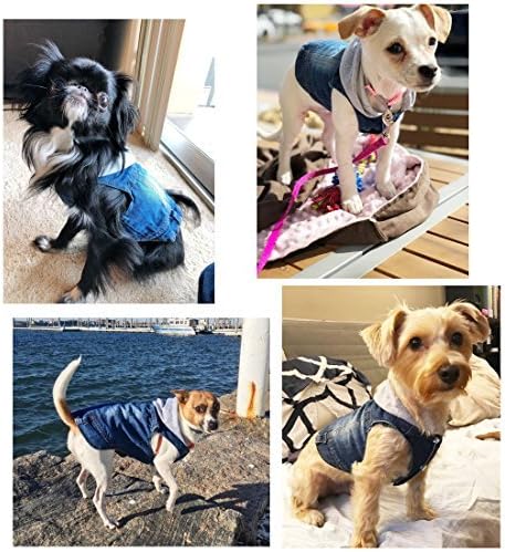 SILD Pet Clothes Dog Jeans Jacket, Cool Blue Denim Coat for Small Medium Dogs, Classic Hoodies, Vintage Washed (Grey, L)