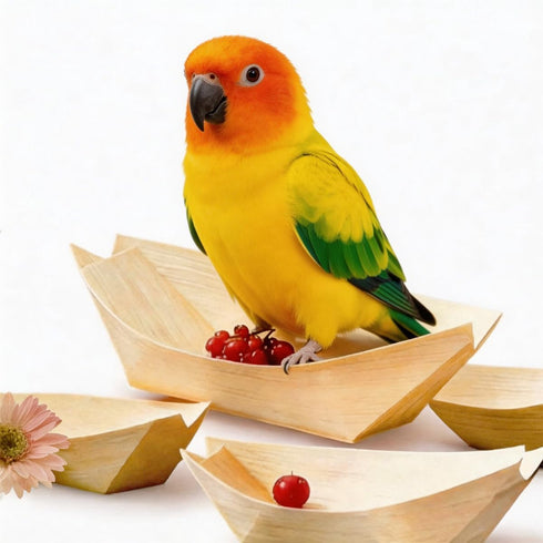 QYILUARE Bird Toys Chew Toys 100% Natural-20 Pack Wooden Boat, Bird Cage Accessories