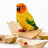 QYILUARE Bird Toys Chew Toys 100% Natural-20 Pack Wooden Boat, Bird Cage Accessories