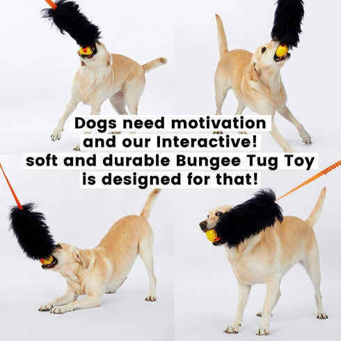 HOWGO Dog Rope Toy, 100% Sheepskin Bungee Chaser Tug Toy for All Breeds (Orange, Long Without Ball)