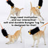 HOWGO Dog Rope Toy, 100% Sheepskin Bungee Chaser Tug Toy for All Breeds (Orange, Long Without Ball)
