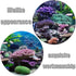 Fish Tank Poster Coral Aquarium Background, Underwater Poster Stickers for Fish Tank 61 * 30