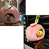 ANIAC Pet Winter Hanging Fruit House Hammock, Warm Bed Nest Accessories for Hamster, Guinea Pig, Hedgehog, Chinchilla