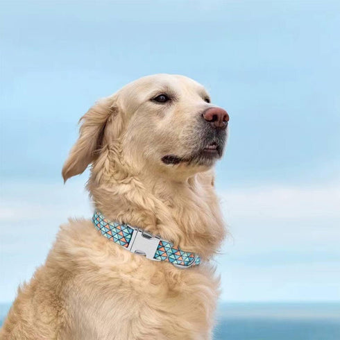 Adjustable Pet Collar with Metal Buckle, Cute Colors for Small Medium Large Dogs, Breathable Soft (Medium, Red Blue)