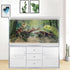 24x12in Tropical Forest Terrarium Background, Natural Green Forest Tree Reptile Habitat Background, Misty Rainforest