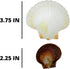 3.75 2.25 Inches (Pack 2) Needzo Hermit Crab Food and Water Shell Dishes, Habitat Tank Supplies for Pets, x
