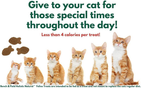3-Ounce (Pack 3 Bench & Field Holistic Natural Healthy Kitty Cat Treats | Crunchy Fish-Shaped Bites | Delicious Seafood
