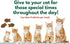 3-Ounce (Pack 6 Bench & Field Holistic Natural Healthy Kitty Cat Treats | Crunchy Fish-Shaped Bites | Delicious Seafood