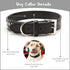 BINGPET Adjustable Leather Dog Collar, Real Split PU Leather, Studded Pet Collar for Small Medium Large Dogs