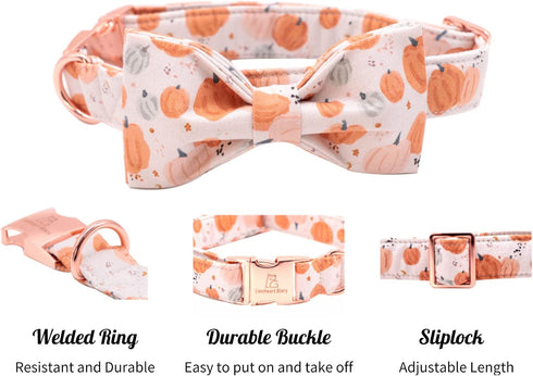 Lionheart Glory Premium Dog Collars, Adjustable Heavy Duty Bowtie Dog Collar for Medium Dogs, Halloween Design