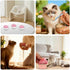 CllyCnny 3pcs 2.6/3/3.4 Pet Food Can Lid - Silicone Reusable Cat Dog Cans Cover Diameters With Spoon Universal Canned