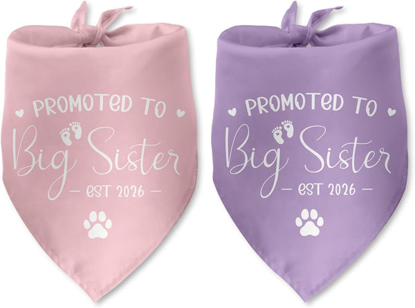 Luptiteuy 2 Pack Promoted to Big Sister Dog Bandana 2026 Pregnancy Announcement Gender