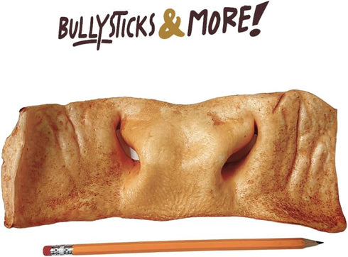 BULLYSTICKS & MORE 8-10 Inch Smoked Beef Cheek Snouts for Dogs (Extra Thick-3 Count) - Bully Snouts Beef Cheek Dog Chews - Beef Cheek Strips -No Hide Bones for Dogs