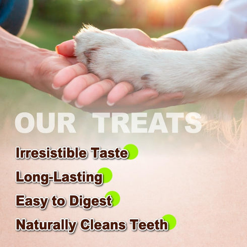 Afreschi Turkey Tendon for Dogs, All Natural Human Grade Puppy Chew, 4 Units/Pack Ring (Small)