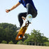 Sefulim Complete Skateboard - 31 x 8 Inch 7 Layer Canadian Maple Double Kick Deck for Boys Girls Teens Adults