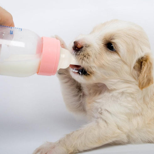 40 0.98X0.63 Inch POPETPOP Pcs Silicone Pet Feeding Nipple - Replacement Bottle Nipples for Kittens & Puppy, Newborn