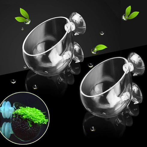capetsma 2X Crystal Glass Aquatic Plant Pot with 4X Suction Cups, Red Shrimp Live Plants Holder for Aquarium