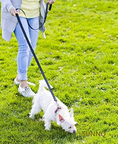 6FT Reflective Dog Leash for Large, Medium, and Small Dogs, Nylon Leash for Walking and Training, 1 inch x 6FT (Black)