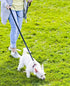 6FT Reflective Dog Leash for Large, Medium, and Small Dogs, Nylon Leash for Walking and Training, 1 inch x 6FT (Black)