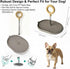 Dog Potty Tray with Handle, minandhua Indoor Puppy Potty Training Tray & Pee Pad Holder, Oval Design with Pour Spout