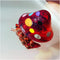 Opaeroo Clear Designs Hermit Crab Shells for Home Decorations Hermit Crab Supplies and