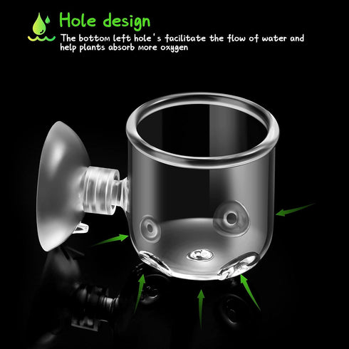 CHENGU 6 Pieces Aquatic Plant Pot - Glass Aquarium Plant Cup with Hole, Suction Cups for Shrimp and Live Plants