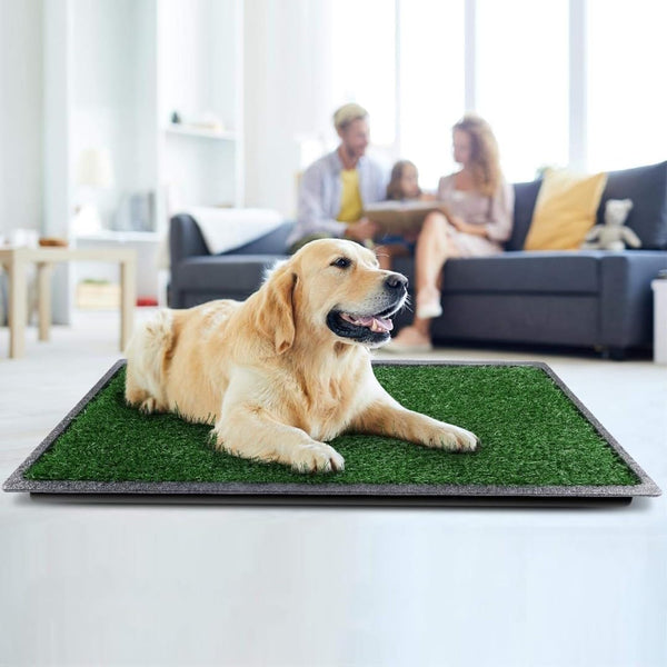 Dog Grass Puppy Training Pee Pad with Tray, Dog Potty with 2