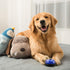 Set 2 Comsmart Dog Training Bell, of Dog Puppy Pet Potty Training Bells, Dog Cat Door Bell Tell Bell with Non-Skid