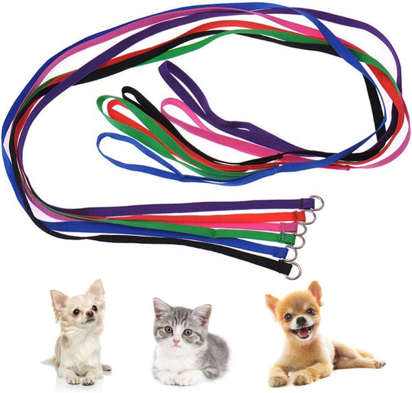 6PCS Dog Slip Leads, D Ring Kennel Nylon Rope for Pet Animal Control, Grooming Shelter Rescues
