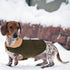 Queenmore Warm Dog Coat, Cold Weather Puffer Jacket with Ultra Thick Plush Lining (Green, Large)