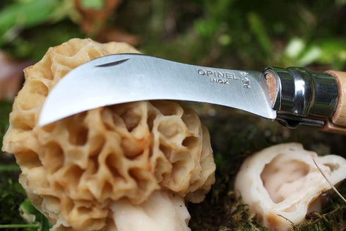 Opinel No. 08 Mushroom Knife, Beechwood Handle, Curved Blade, Made in France