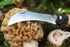 Opinel No. 08 Mushroom Knife, Beechwood Handle, Curved Blade, Made in France