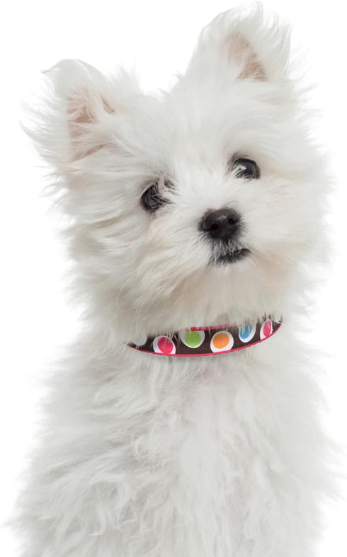 Mile High Life Nylon Puppy Dog Collar with Cute Patterns, Lightweight for Small/Medium/Large Dogs (Brown Dot, Medium)