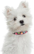 Mile High Life Nylon Puppy Dog Collar with Cute Patterns, Lightweight for Small/Medium/Large Dogs (Brown Dot, Medium)