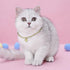 Dog Collar and Cat Chain Necklace, Stainless Steel Adjustable 18K Gold Heart-Shaped Necklace for Small Pets, Gold, 7
