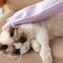Waterproof Silicone Pet Grooming Gloves, Dog Cat Bathing Shampoo Brush, Hair Removal Gloves Supplies with Sturdy Teeth for Massaging Washing, Ambidextrous Scrubber Gloves for Shedding, Lavender