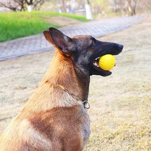 Rope-Ball Pet Toys, Durable Rubber Ball, Indestructible Chew Toy for Outdoor Training